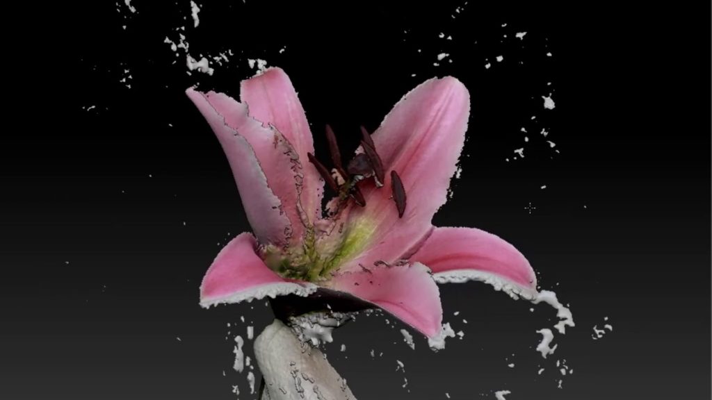 Raw photogrammetry 3D scan of a lily